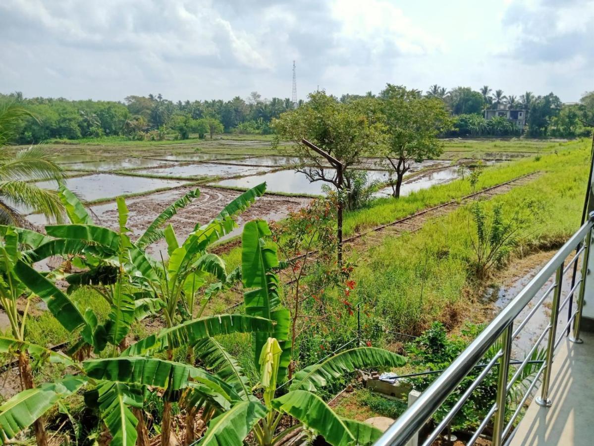 Freedom Of Green Rice View Anuradhapura Dış mekan fotoğraf