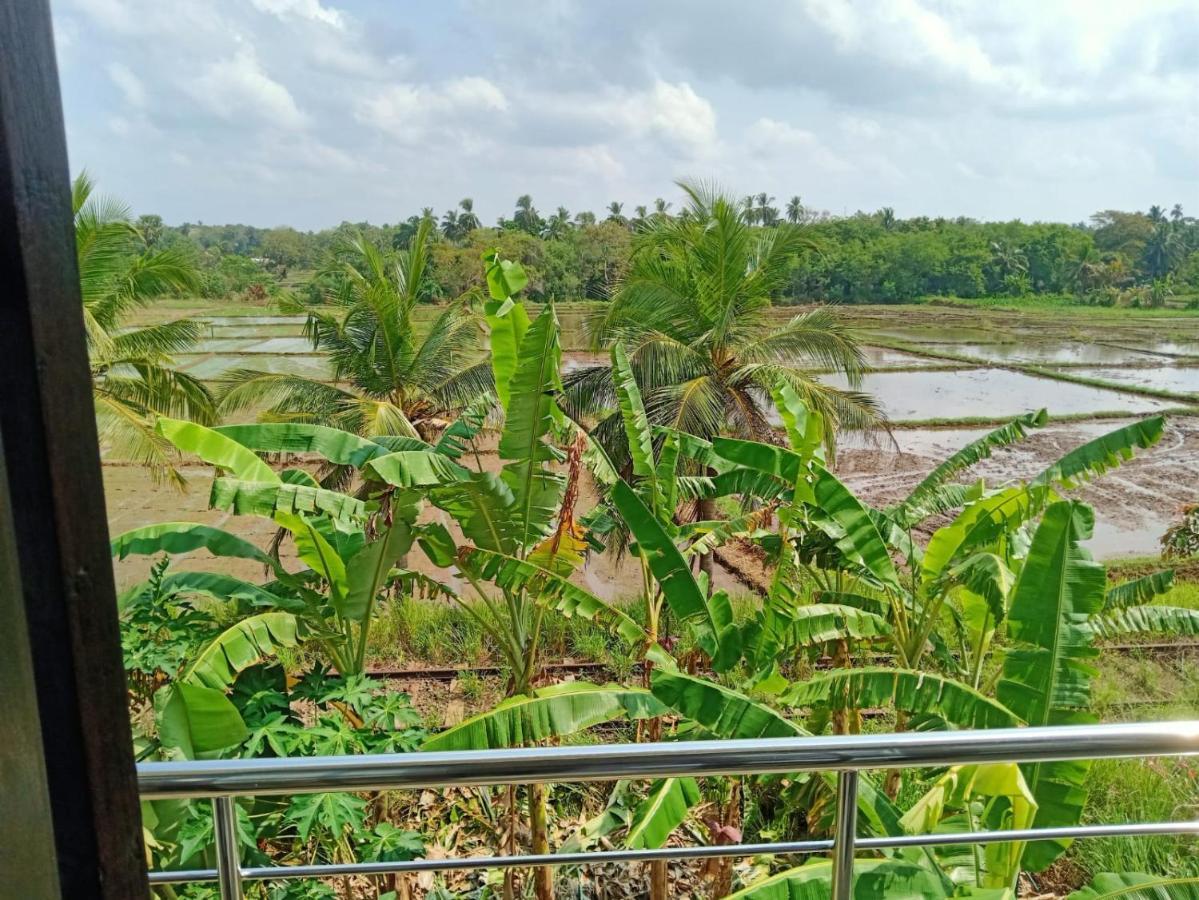 Freedom Of Green Rice View Anuradhapura Dış mekan fotoğraf