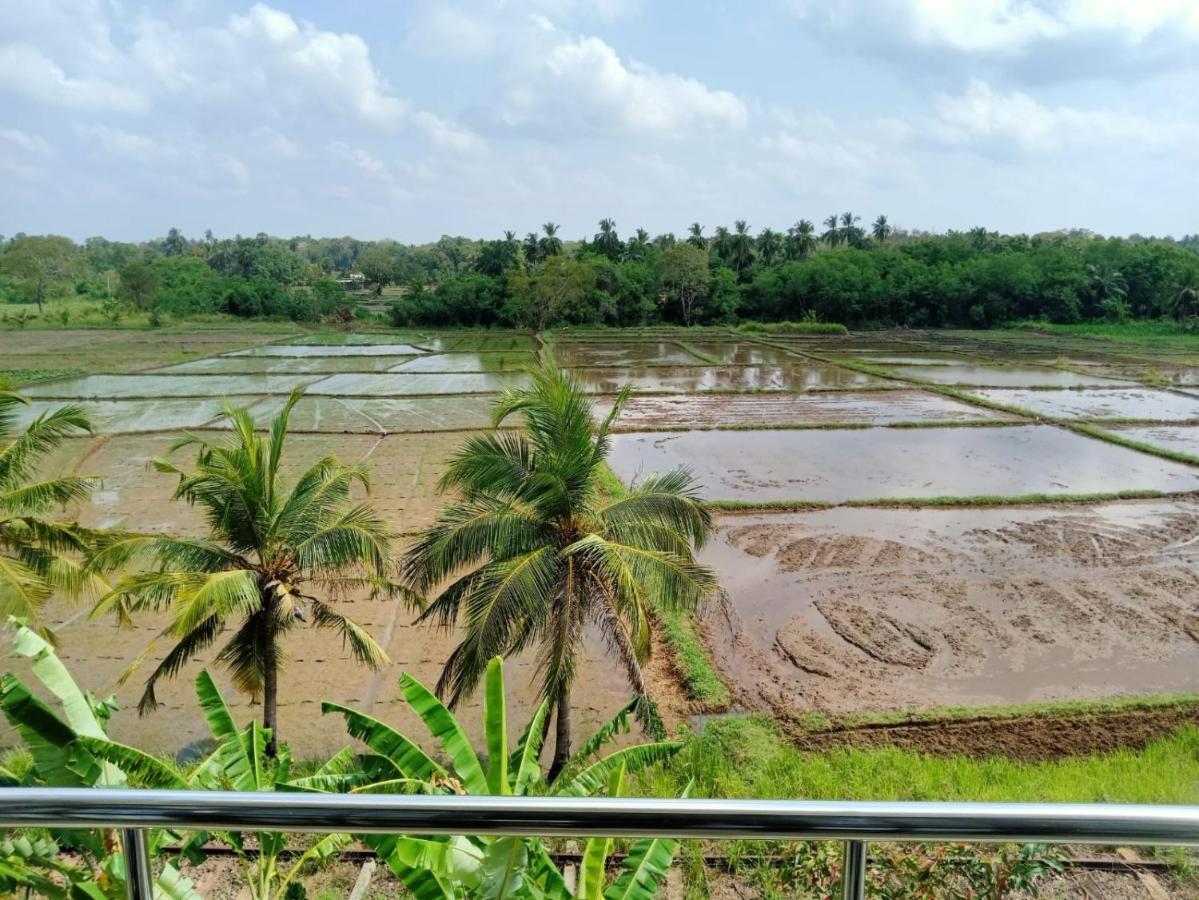 Freedom Of Green Rice View Anuradhapura Dış mekan fotoğraf