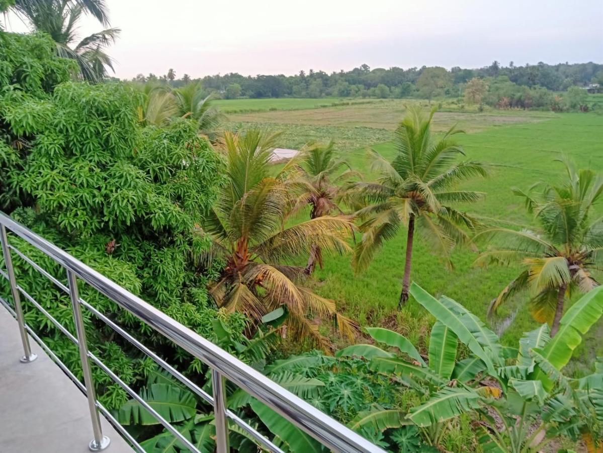 Freedom Of Green Rice View Anuradhapura Dış mekan fotoğraf